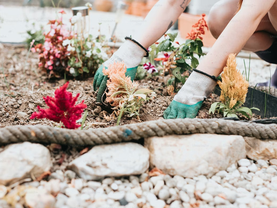 Planting flowers in a landscaping project